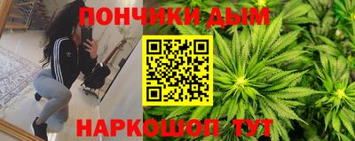 шишки Канаш