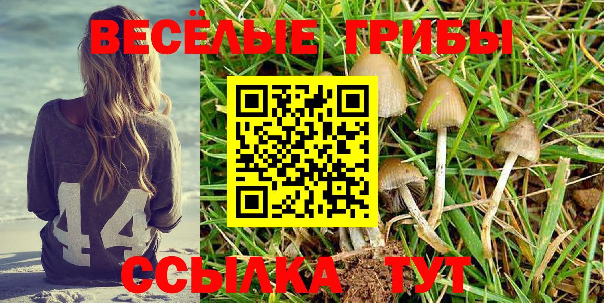 где купить   Вход с VPN  Ливны  Галлюциногенные грибы GOLDEN TEACHER 