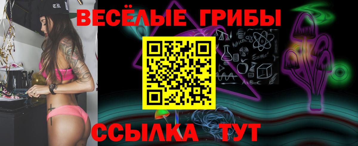 Псилоцибиновые грибы Psilocybe Ливны